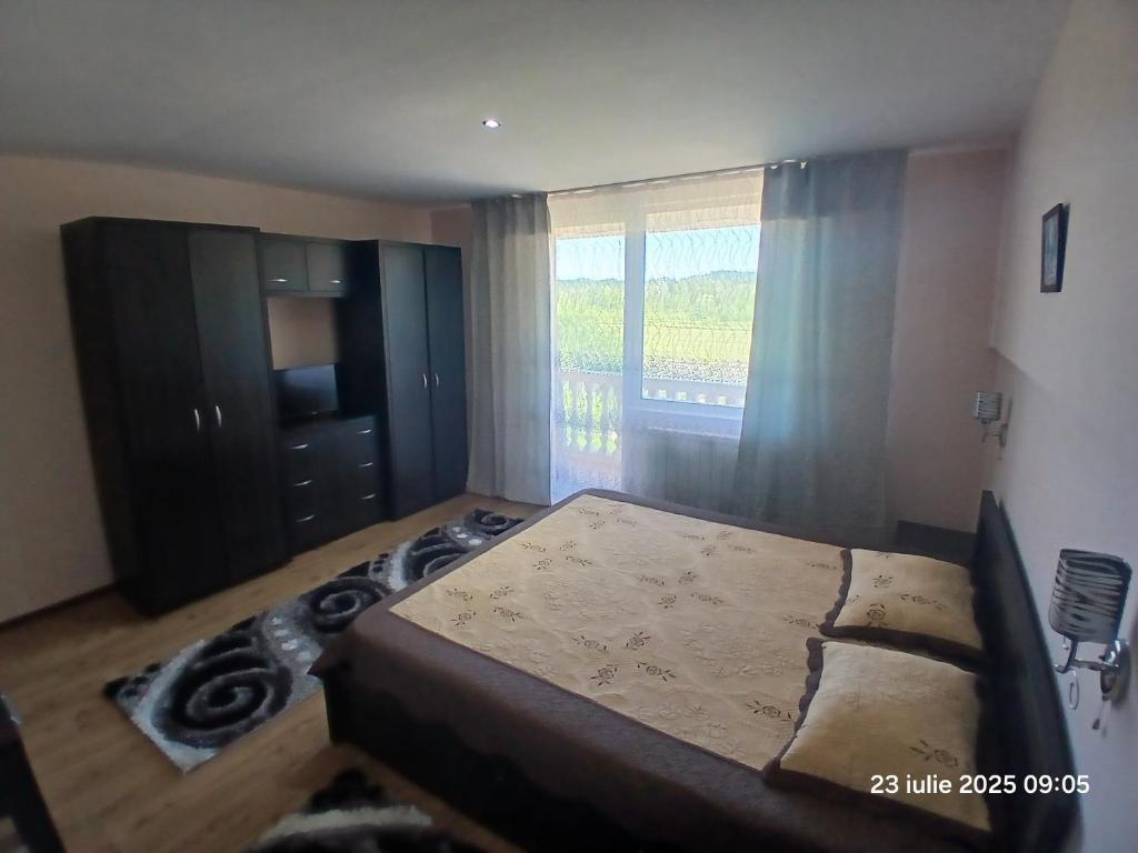 Casa David, Sighetu Marmaţiei