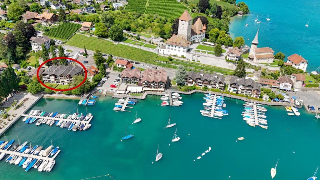Buchtoase, Spiez