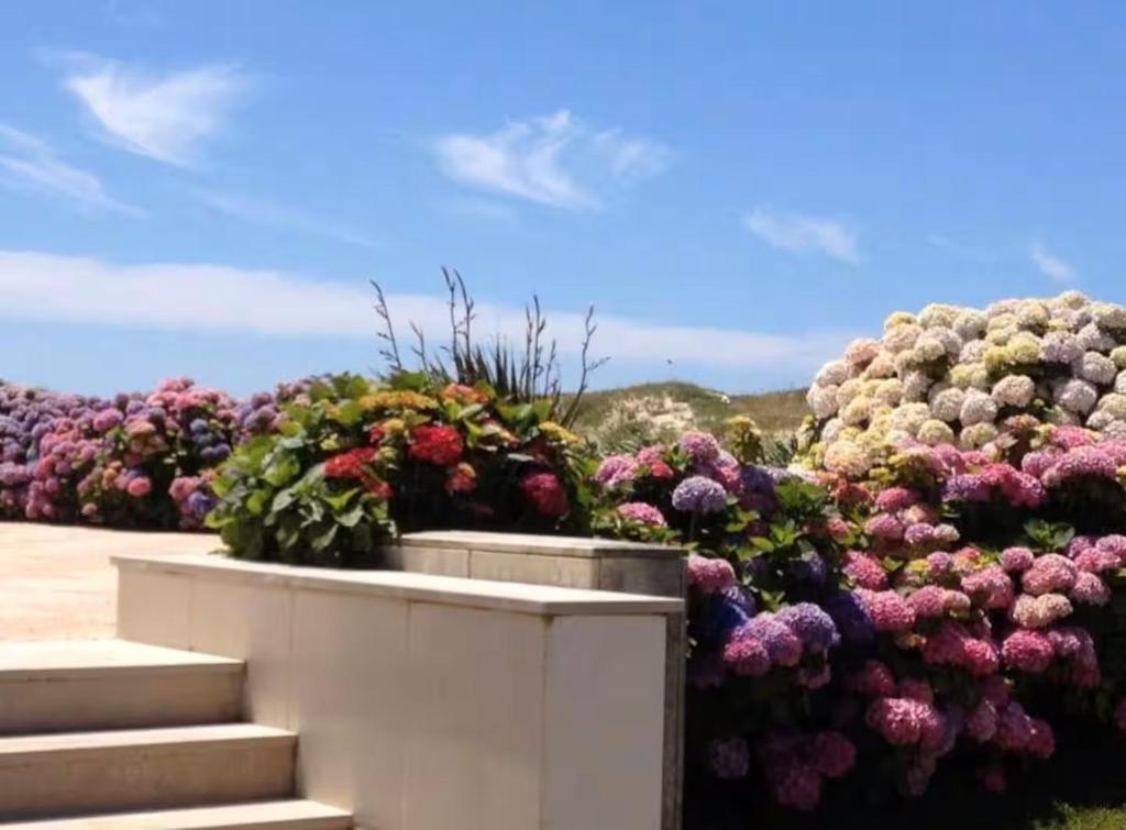 Mindelo apart with ocean view, Mindelo