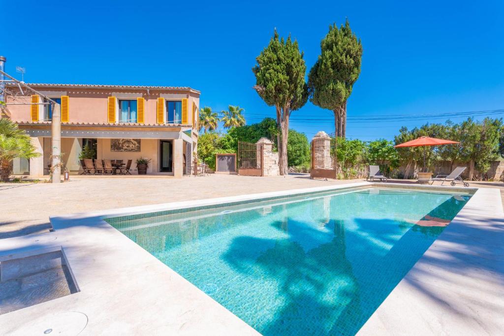 Can Frontera (Vinagrella), Selva