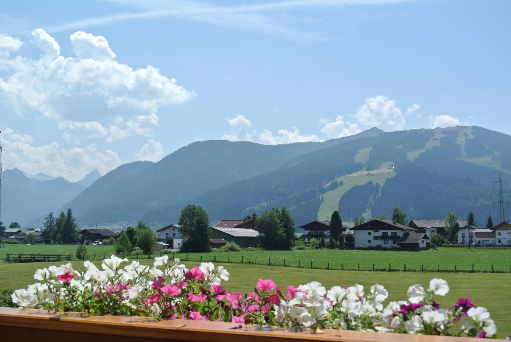 Ferienwohnungen Reiter - 2