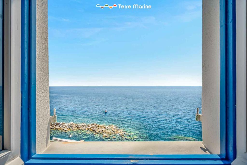 Nidoo TerreMarine - 1