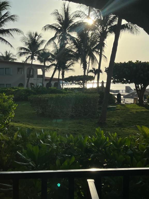 Beachfront 1 bedroom ocean view - 3