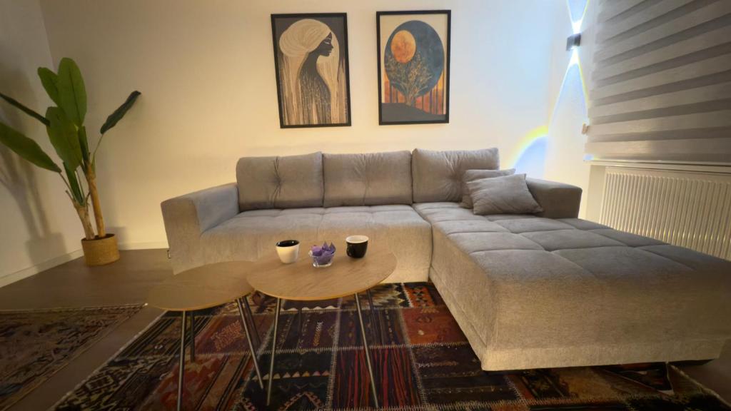 Apartment Modesty - 3