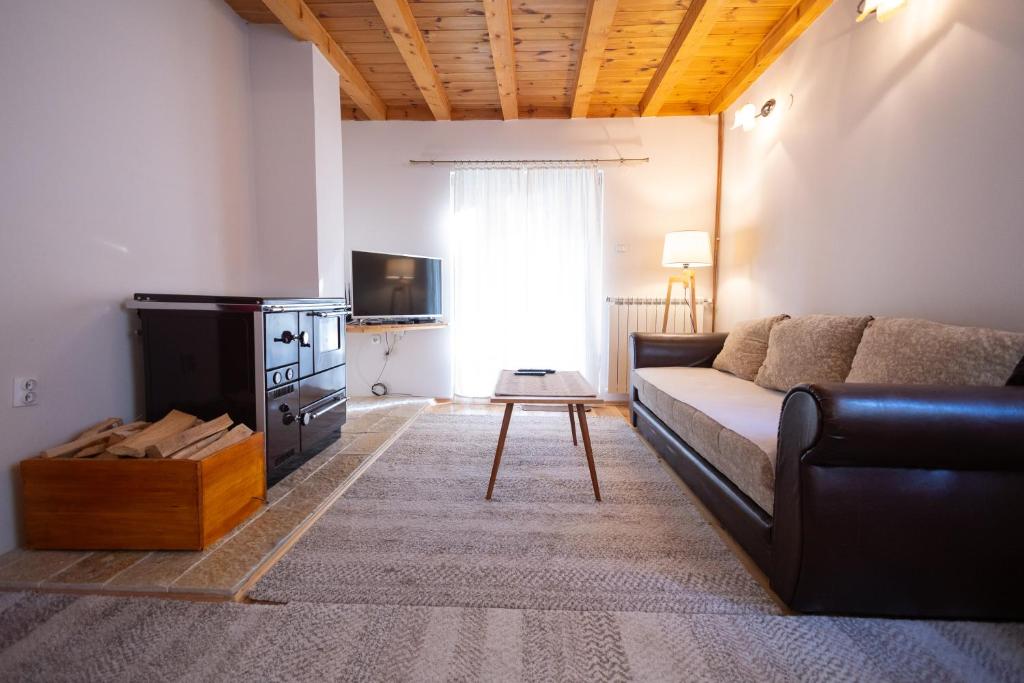 Jankovic Chalet - 5