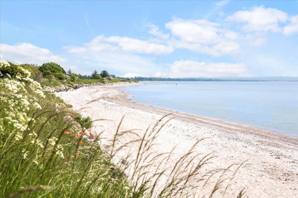 4320-Stege-Oddermose-Strandvej-5-B, Stege