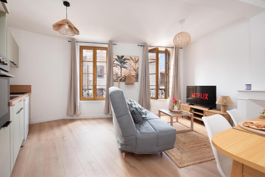 Le Phoenix - T3 Centre Ville Clim, Albi