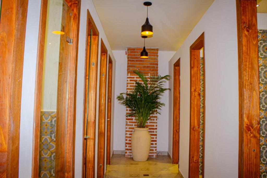 Masaya Cartagena - 5