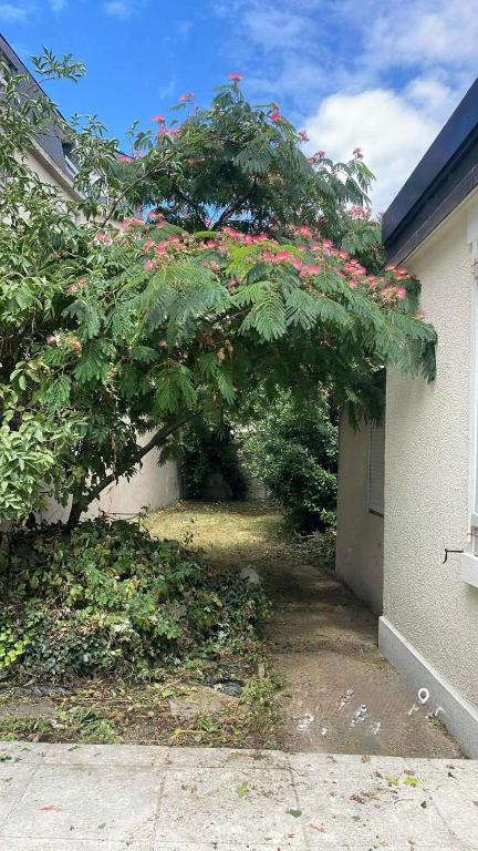 Tiny House avec jardin au cœur de Bourges - 3
