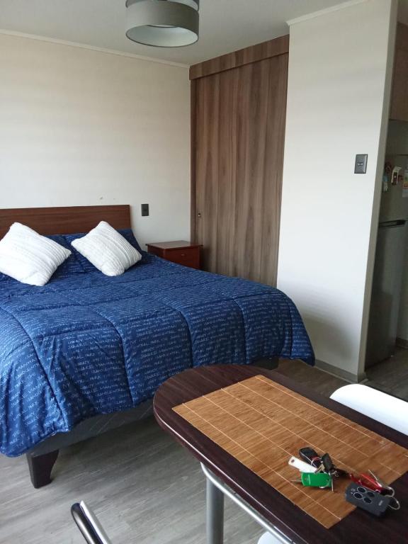 Departamento centrico en chillan - 4