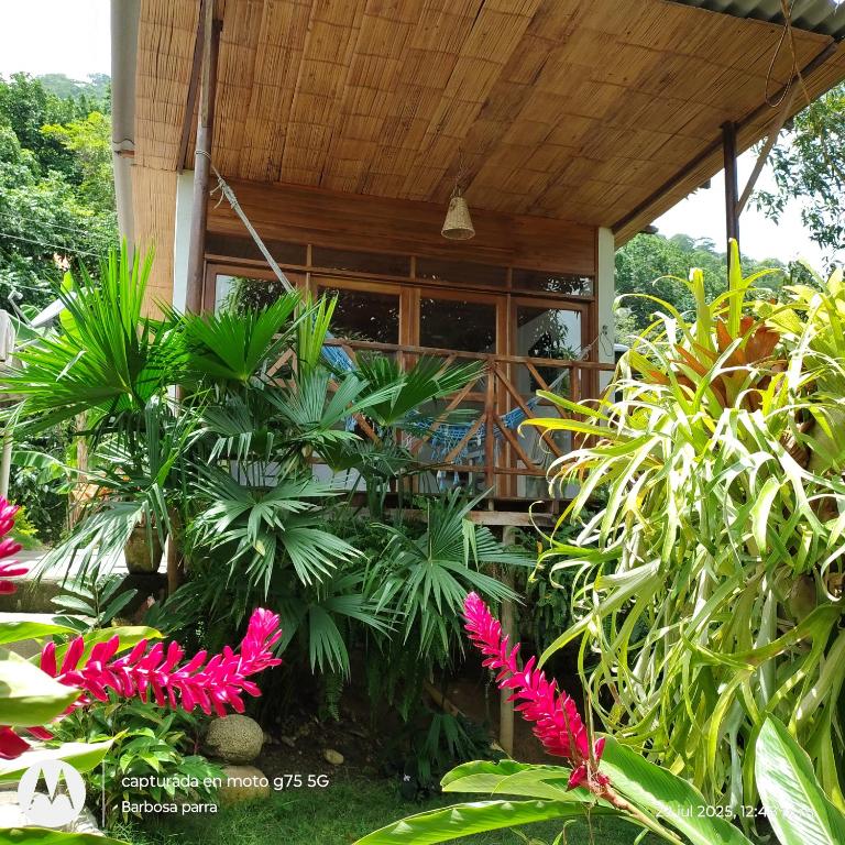 Casa kumake tayrona, El Zaino