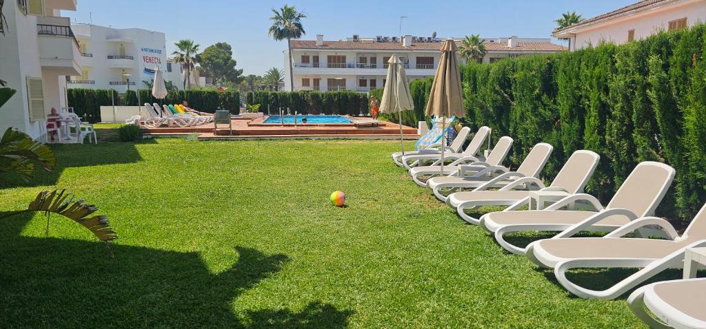 Apartamentos venecia a unos pasos de la playa - 5