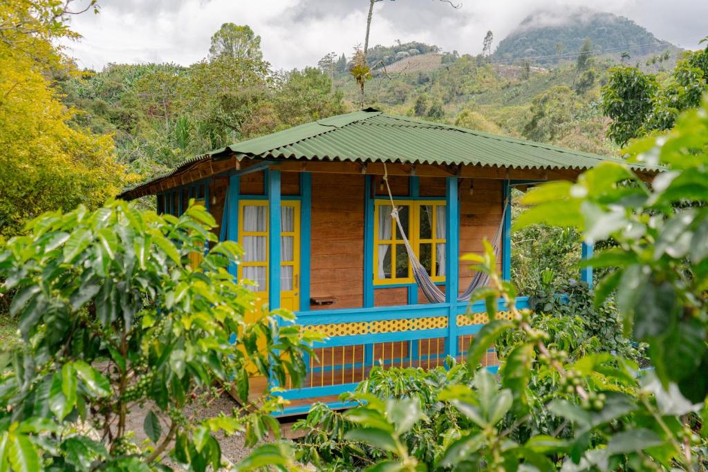 Mini Casa Citará - 1