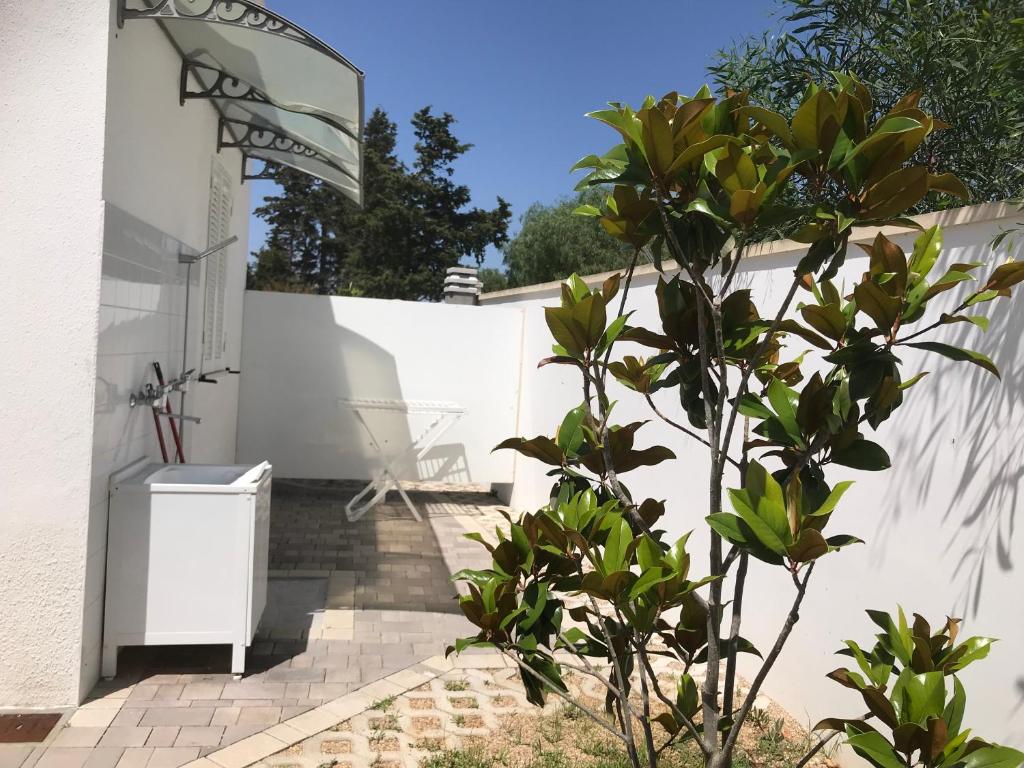 Casa Vacanze Stella Marina - 3