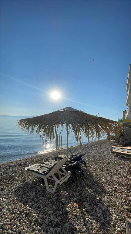 Guest house Lori, Pogradec