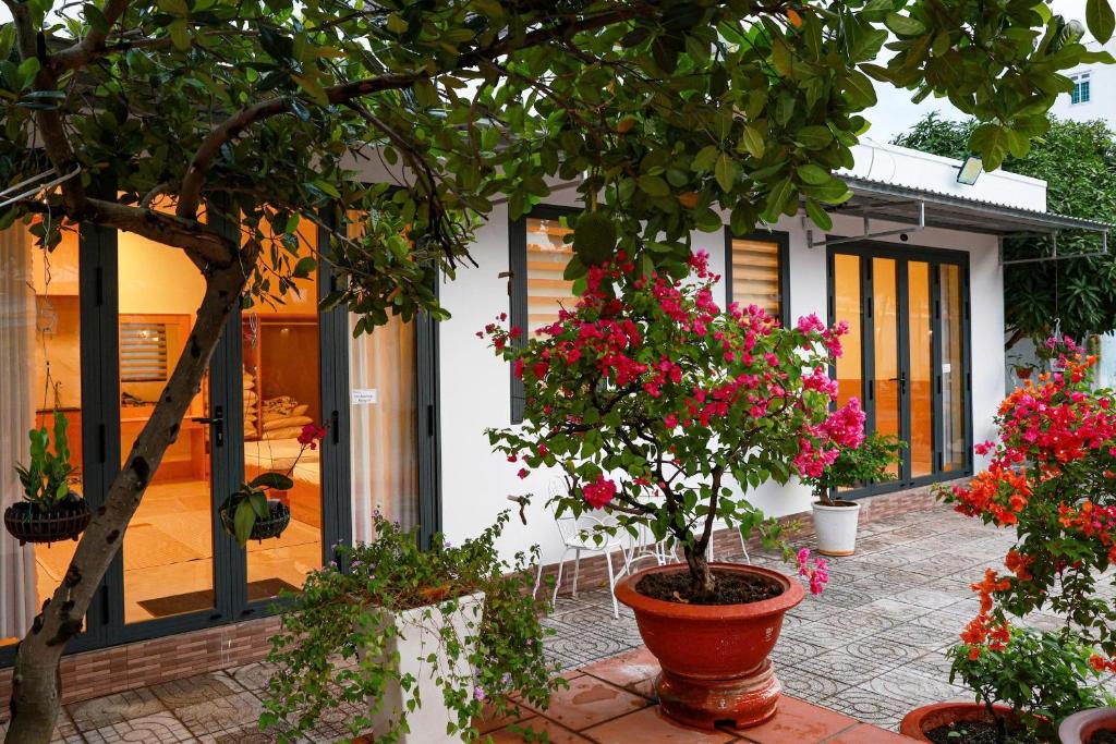 gold star homestay