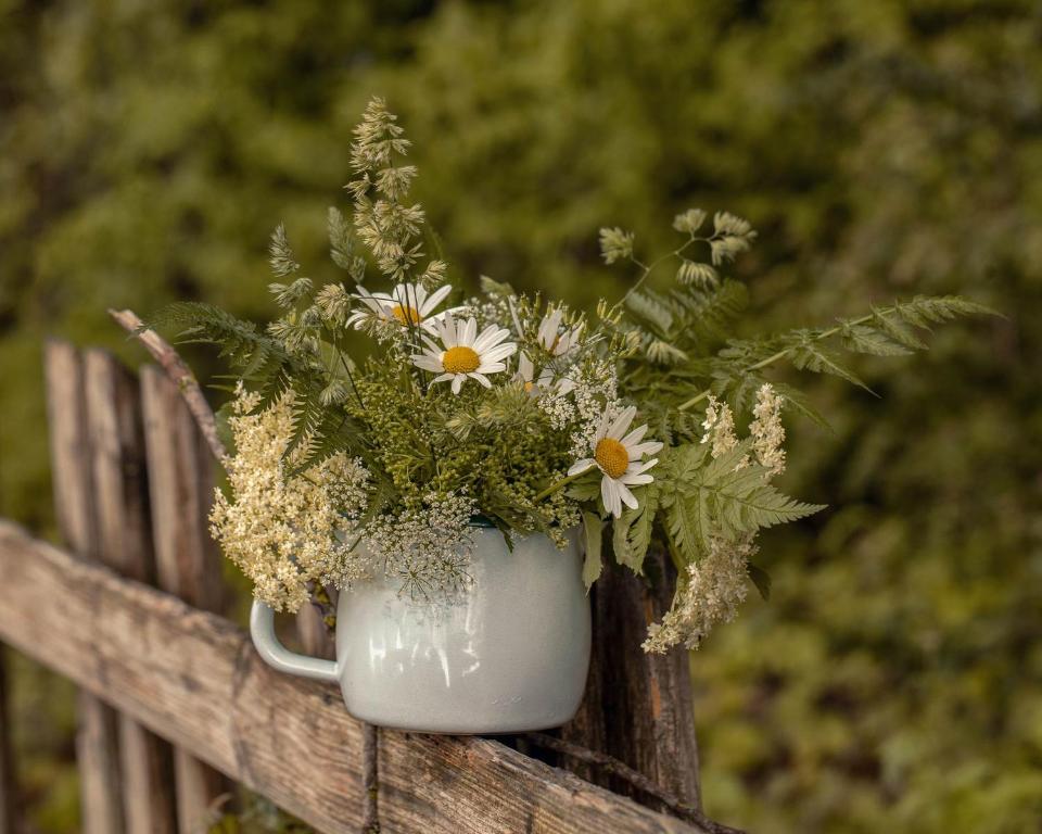 Alpenrose - 3
