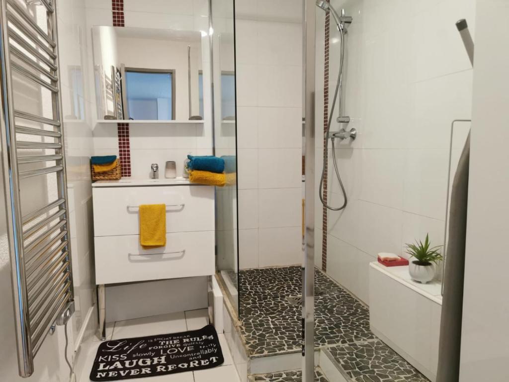 Studio vue bassin grand confort - 3