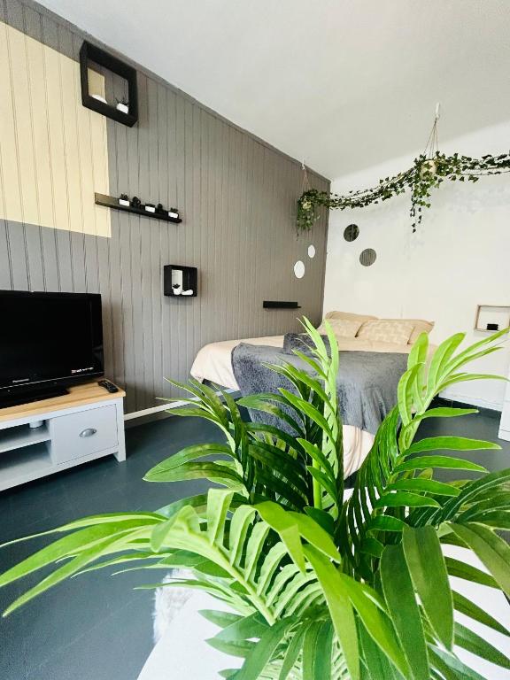 Cosy - Studio Plage & Soleil, Canet-en-Roussillon
