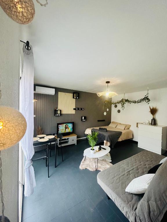 Cosy - Studio Plage & Soleil - 3