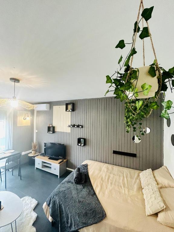 Cosy - Studio Plage & Soleil - 4