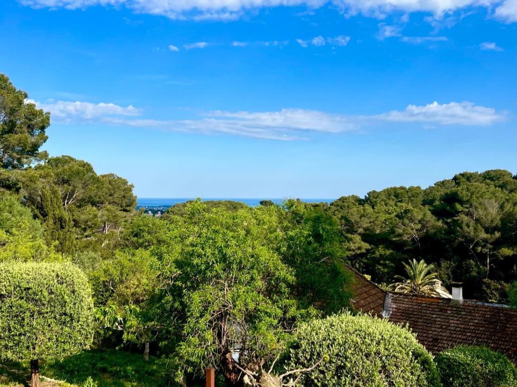 L'azur Provençal - 2