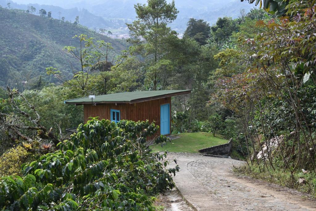 Mini Casa Papiro - 3