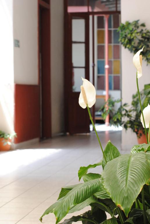 편의 시설/서비스