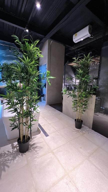 Heart of Lleras - Premium Place - 4