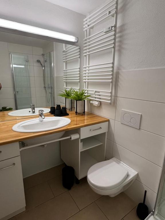 Ferienwohnung Alpenruhe mit traumhaften Bergblick, Pool & Sauna - 4