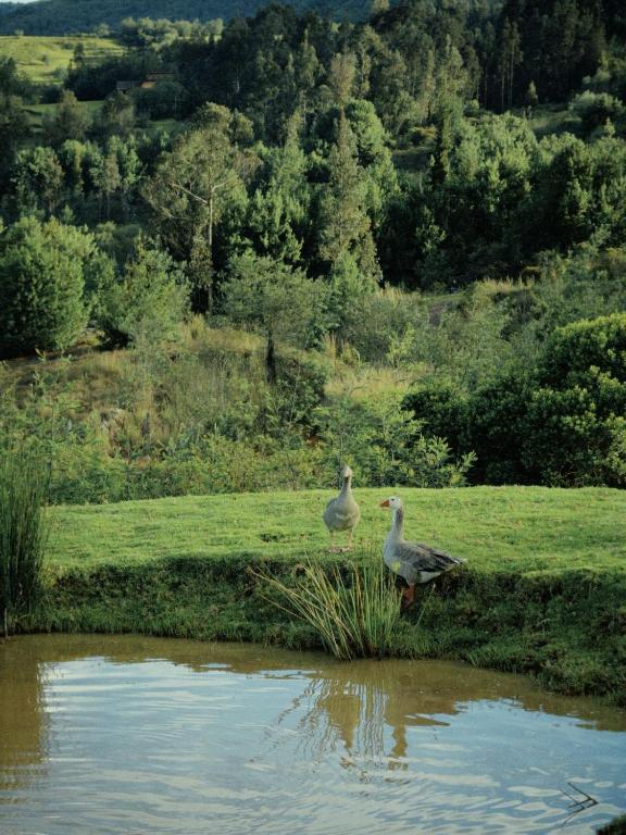 La Dolce Vita, Guatavita - 3