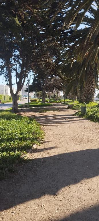 La Serena Puerta del mar - 4