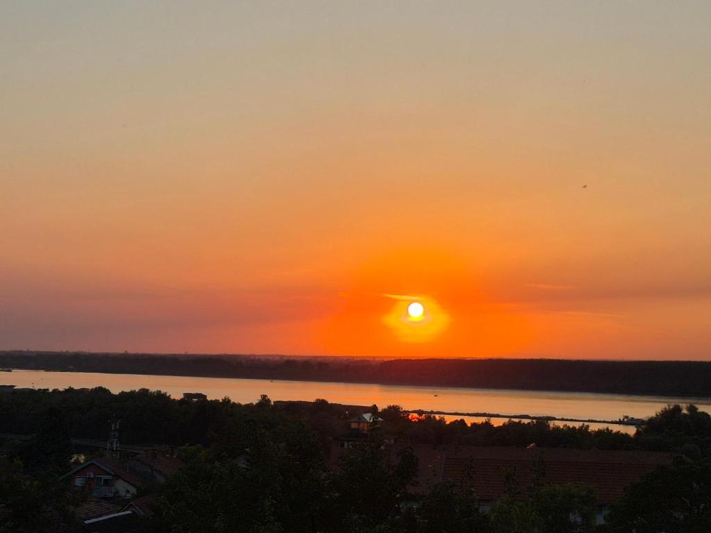 Globus Apartment - 1