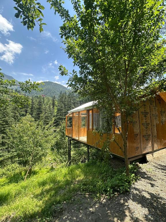 TreeHouse by The Woodpecker Inn Jibhi, Jibhi