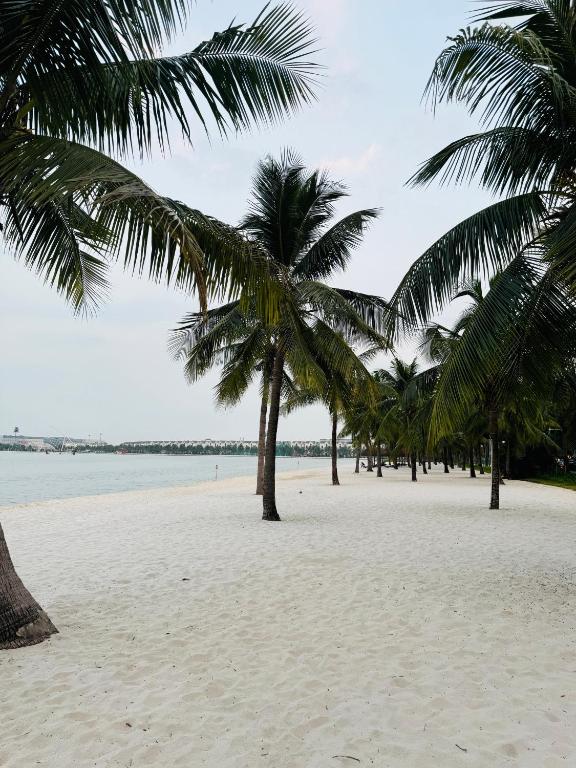 Homestay Nhà Thu Thu Vinhome Ocean Park