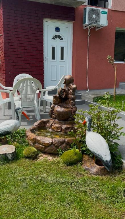 Apartman Novičić - 1