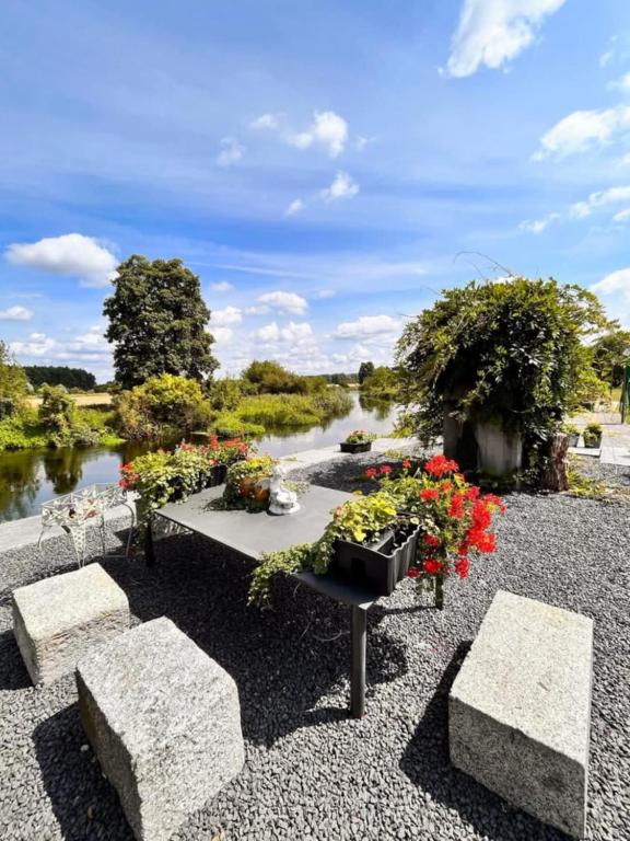 Ảnh 3