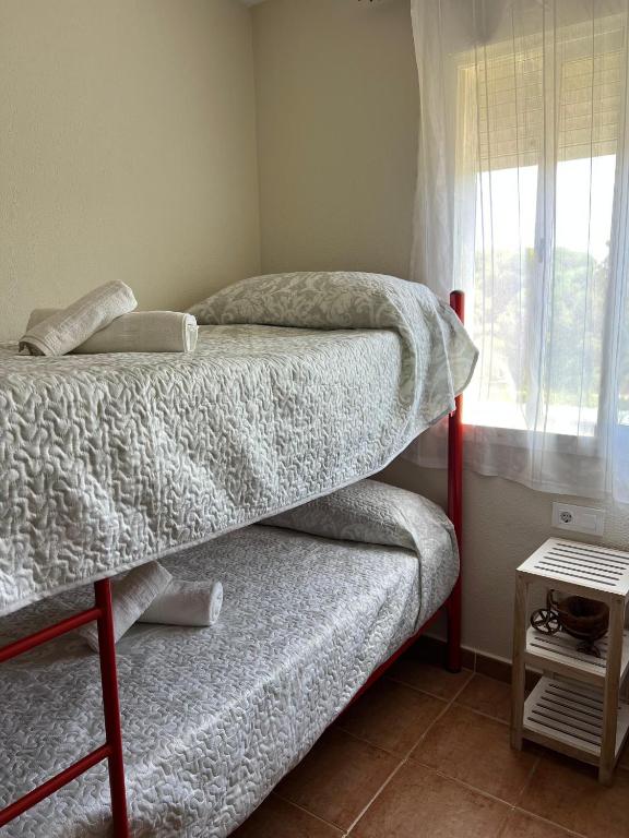 Bonito y confortable apartamento Novo Sancti Petri Barrosa Chiclana Cadiz - 5