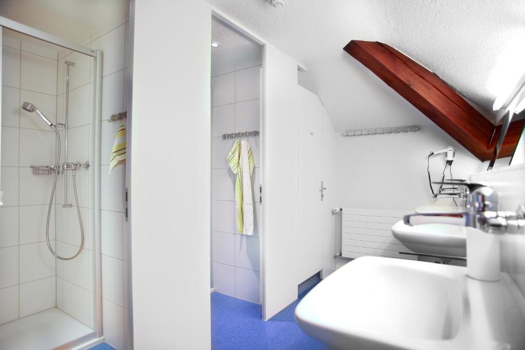Hostel Eckstein photo