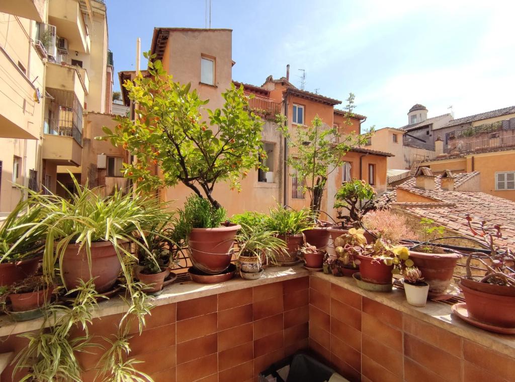Casa Luisa - WelcomeToRhome - 2