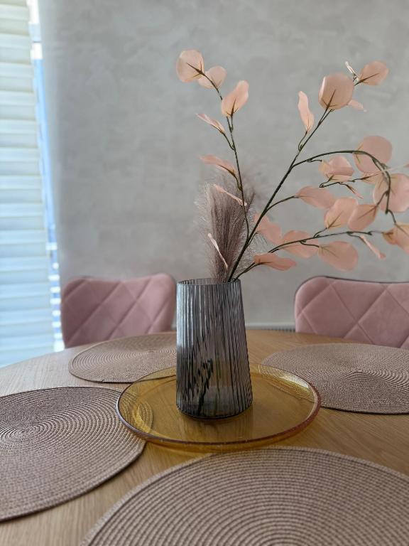 Apartman Tijana - 5