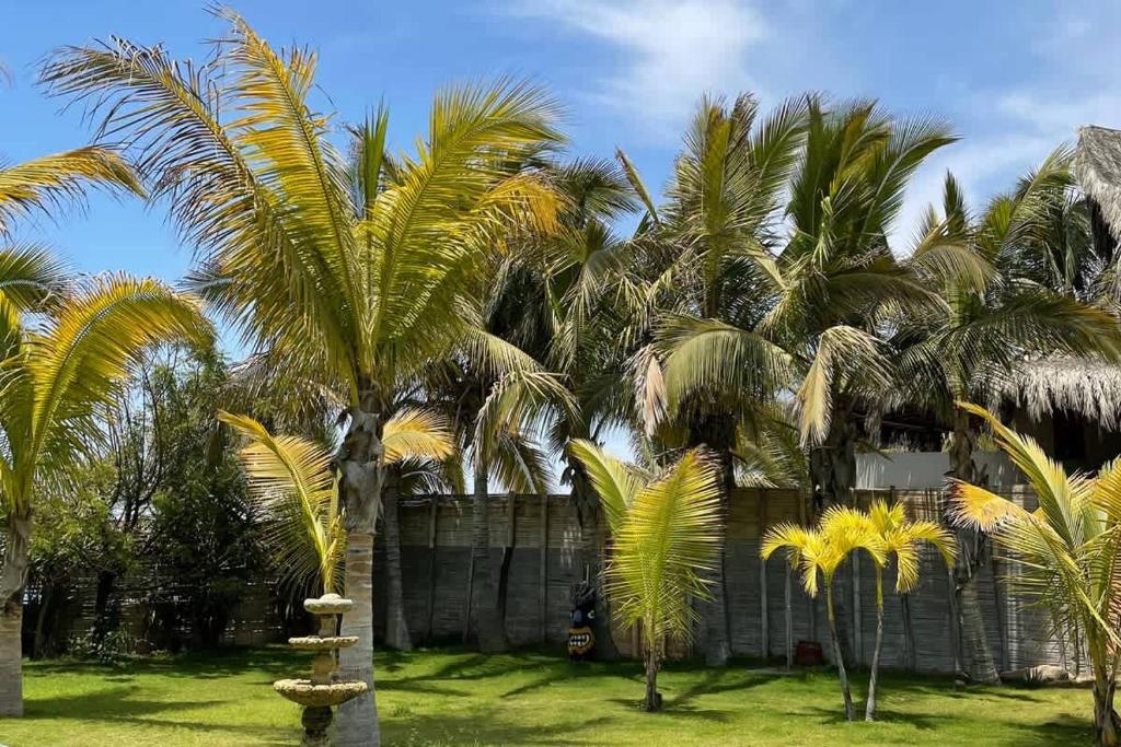 Cozy 1BR Sea View - 4