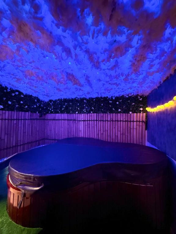 Love-room climatisé Jaccuzi sauna - 4