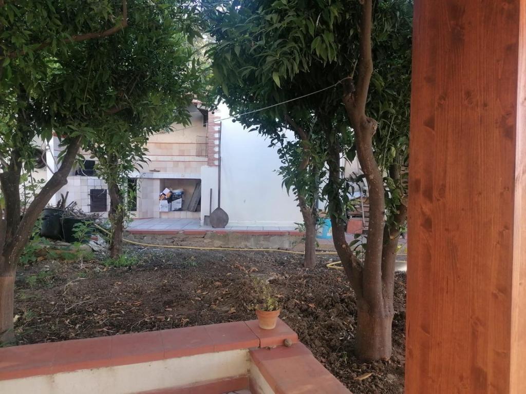 Casa Tio Pepe - 3