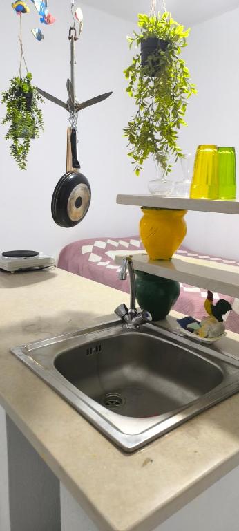 studio, Menzel Bourguiba