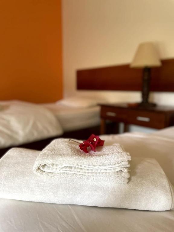 Warm 1BR Tropical Garden - 5