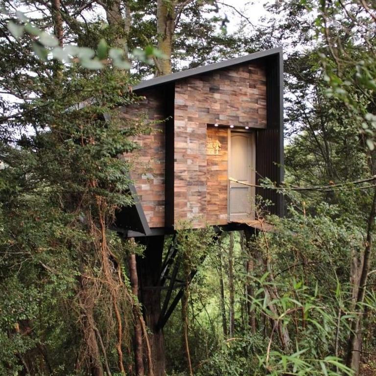 TREE LODGE CHILOE - 1