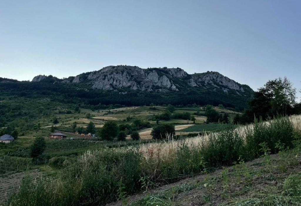 Odmor pod Mucnjem, Ivanjica