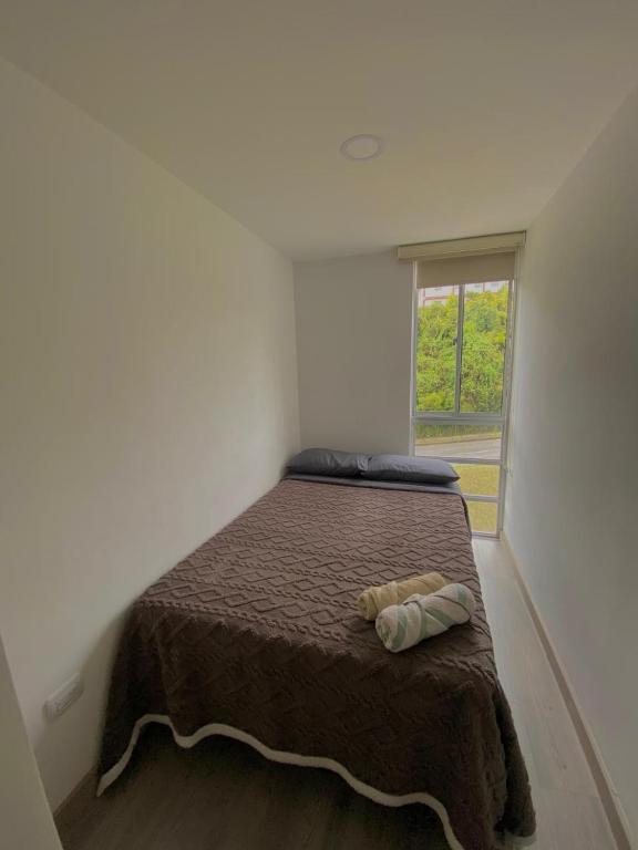 Apartamento Urban Manizales - 5