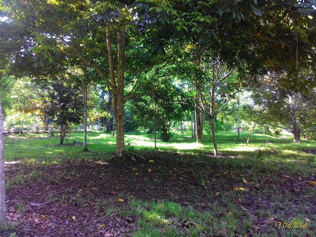 Surrounding environment